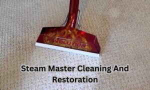 Process Of Steam Master Cleaning And Restoration